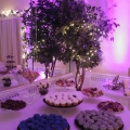 catering-food35